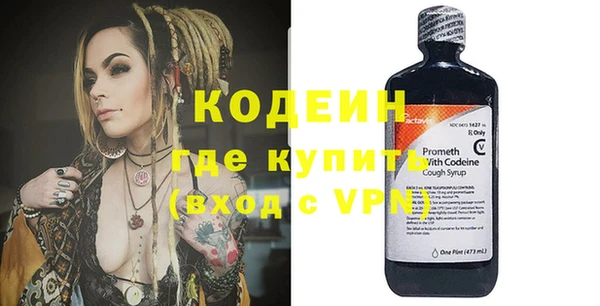 молекула духа Пестово