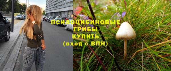 молекула духа Пестово