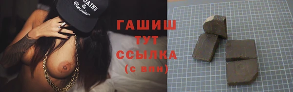молекула духа Пестово