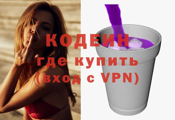 молекула духа Пестово