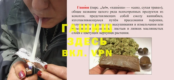 молекула духа Пестово