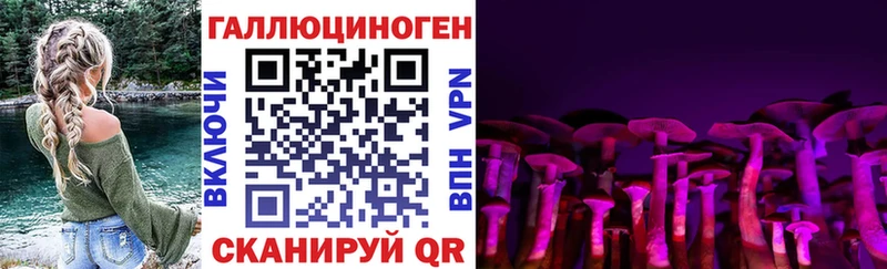 Псилоцибиновые грибы Cubensis  кракен зеркало  Великий Устюг 