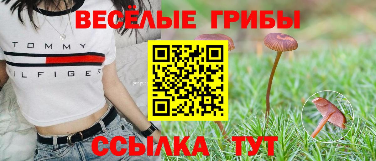 Галлюциногенные грибы Psilocybe  Псилоцибиновые грибы Magic Shrooms  Великий Устюг  Вход с VPN 