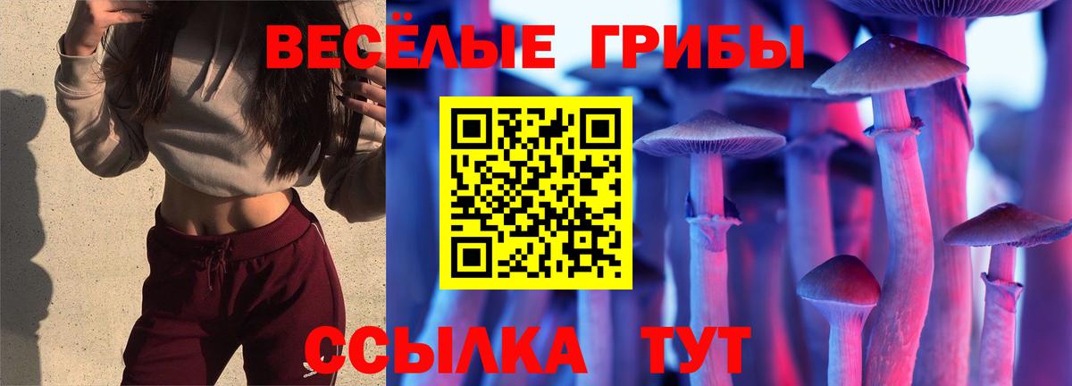 Псилоцибиновые грибы Великий Устюг